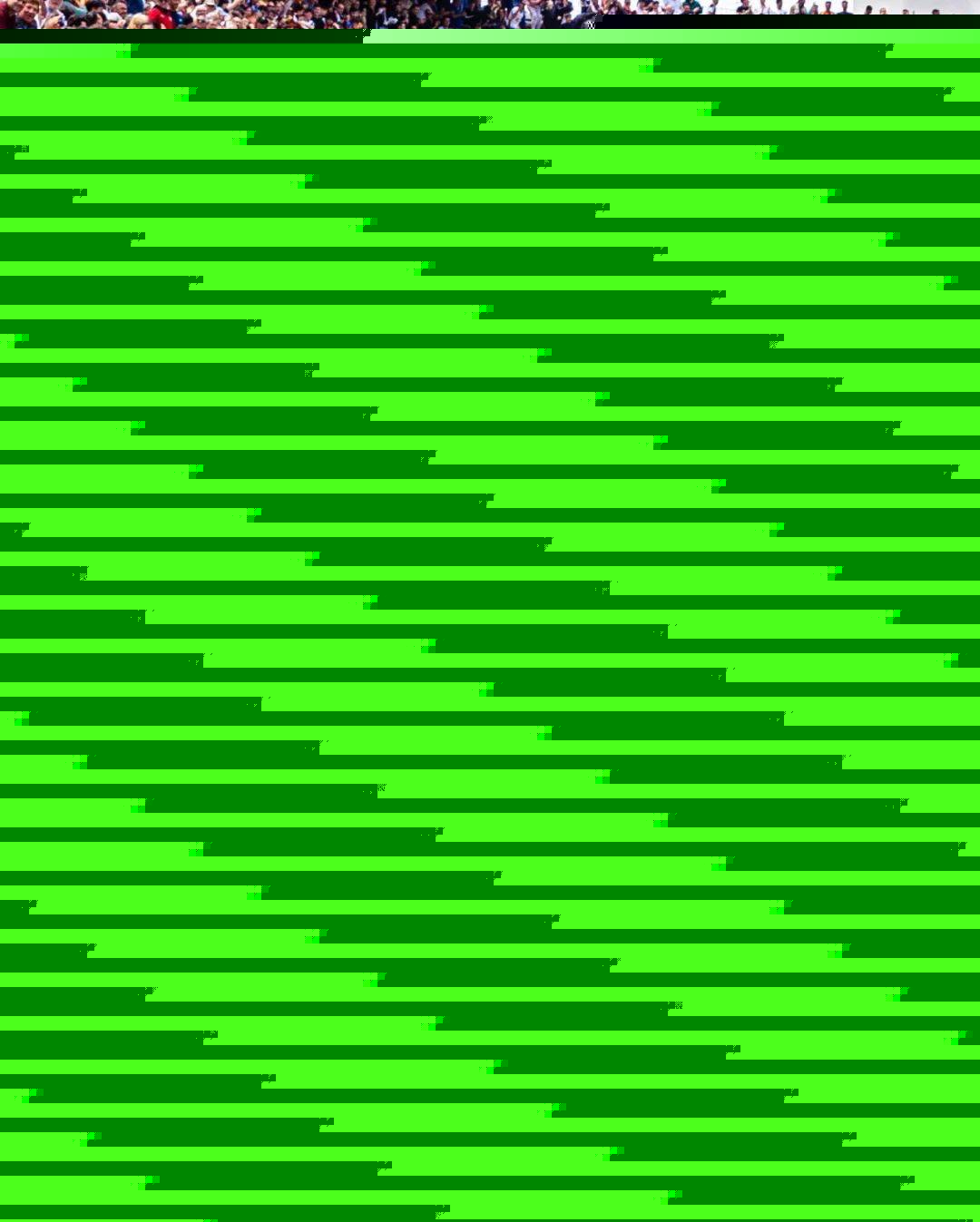 作为国际米